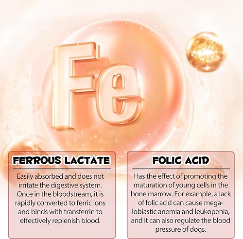 Miniatura 5 de Suplementos de hierro líquido para perros, hierro LiquiI con vitamina C y B12, apoya la anemia, bajos niveles de entería y letargo, promueve la