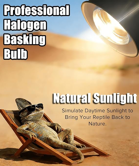 72W Halogen Heat Lamp for Reptiles - Professional Daylight Intense Basking Bulb, IR-A Deep Heat & Simulated Natural Sunlight, 2 Pack for Bearded Dragon, Turtle, Lizard, Snake, Gecko & Chicken