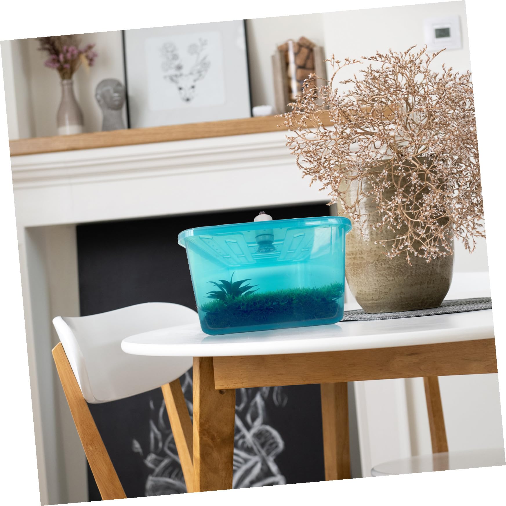 Terrario per Tartarughe Piattaforma Solare e Vasca in Plastica Sicura, Stabile e Ampia Superficie per Nuotare, Alimentare e Riposare Piccoli Rettili e Tartarughe Domestiche