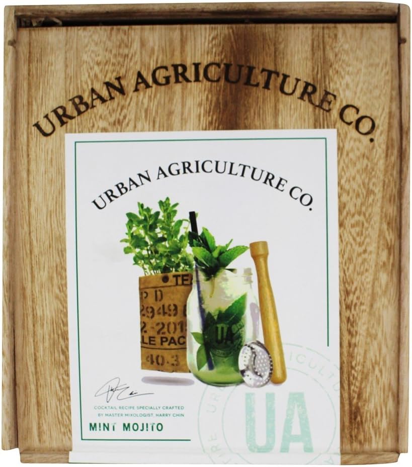 Urban Agriculture Grow Your Own Craft Cocktail Kit | Mint Mojito