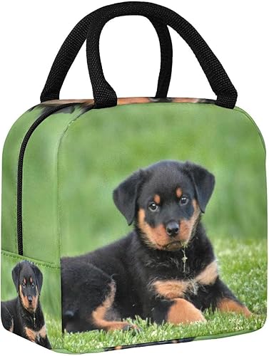 suojapuku Bolsa de almuerzo para mujeres y hombres, lonchera a prueba de fugas, foto de cachorro rottweiler, lonchera portátil reutilizable para