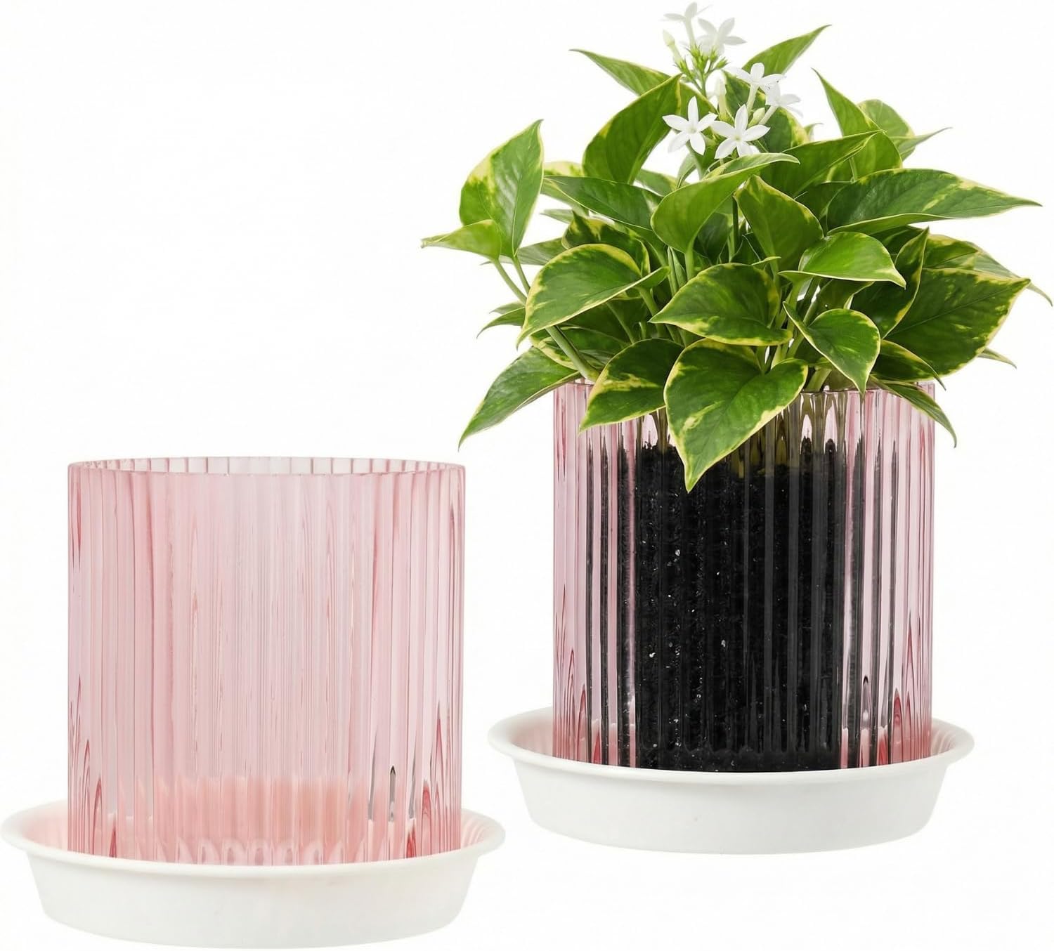 Pink Glass Plant Pots Indoor, 5 inch Clear Orchid Pots with Drainage Holes & Trays, Small Glass Planter for Indoor Plants, Herbs, Succulent Flower Planter with Ribbed Texture, Set of 2