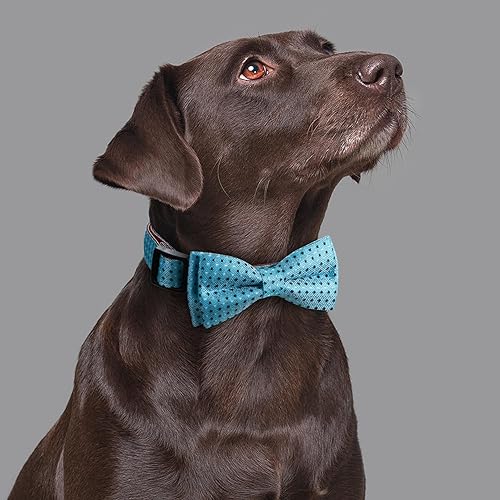 Miniatura 2 de Rhea Rose Pajarita para perro, patrón a cuadros, azul cielo con pajarita para perros macho, niña, talla M