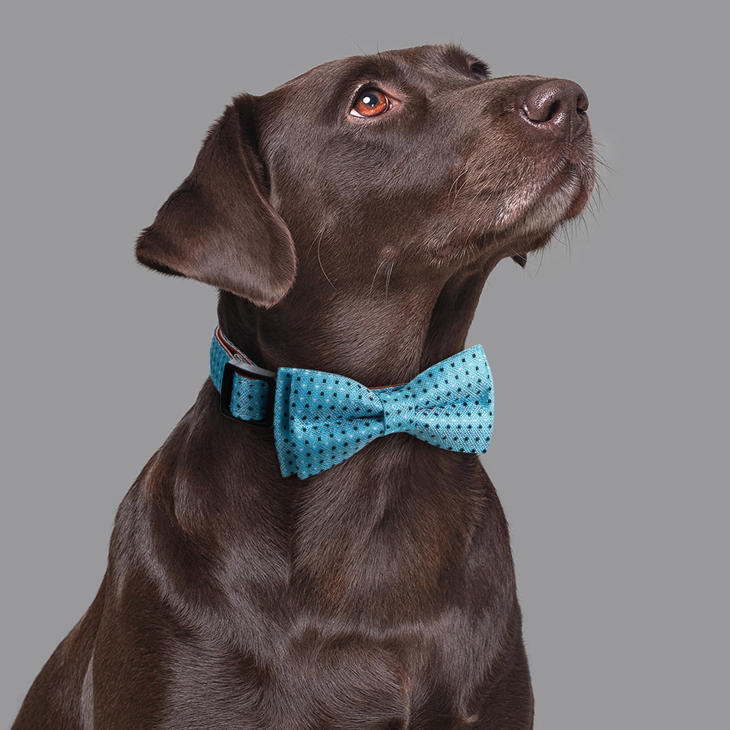 Rhea Rose Bow Tie Dog Collar Checkered Pattern Sky Blue with Bowtie for Boy Girl Dogs Large, C1_Checkered_Sky Blue - Image 2