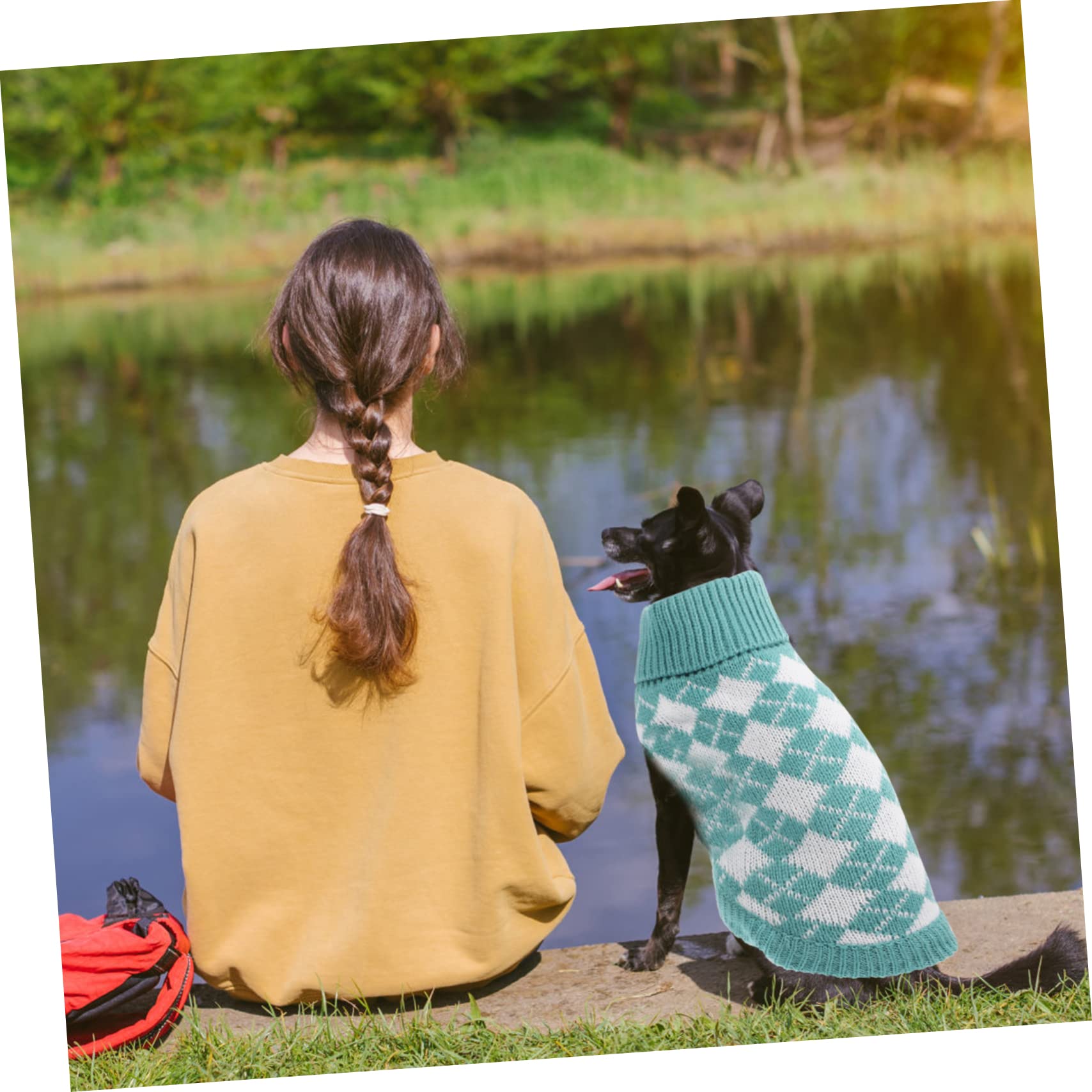 Kisangel 4pièces Pull pour Chien Vêtement Hiver Maille pour Chiens De Moyenne à Costume Automnal pour Animaux pour Et Photos Amusantes