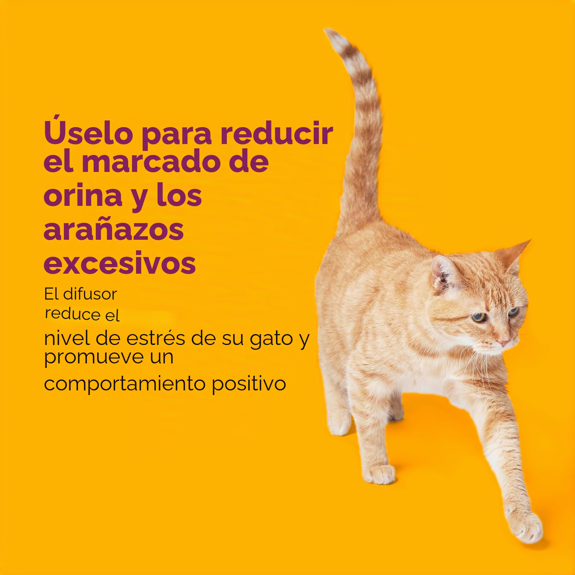 Comfort Zone Paquete de 2 recambios para difusor MultiCat; feromonas calmantes para Gatos ayudan a la ansiedad; recambios de 30 días