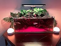 Review Image by Amazon Customer