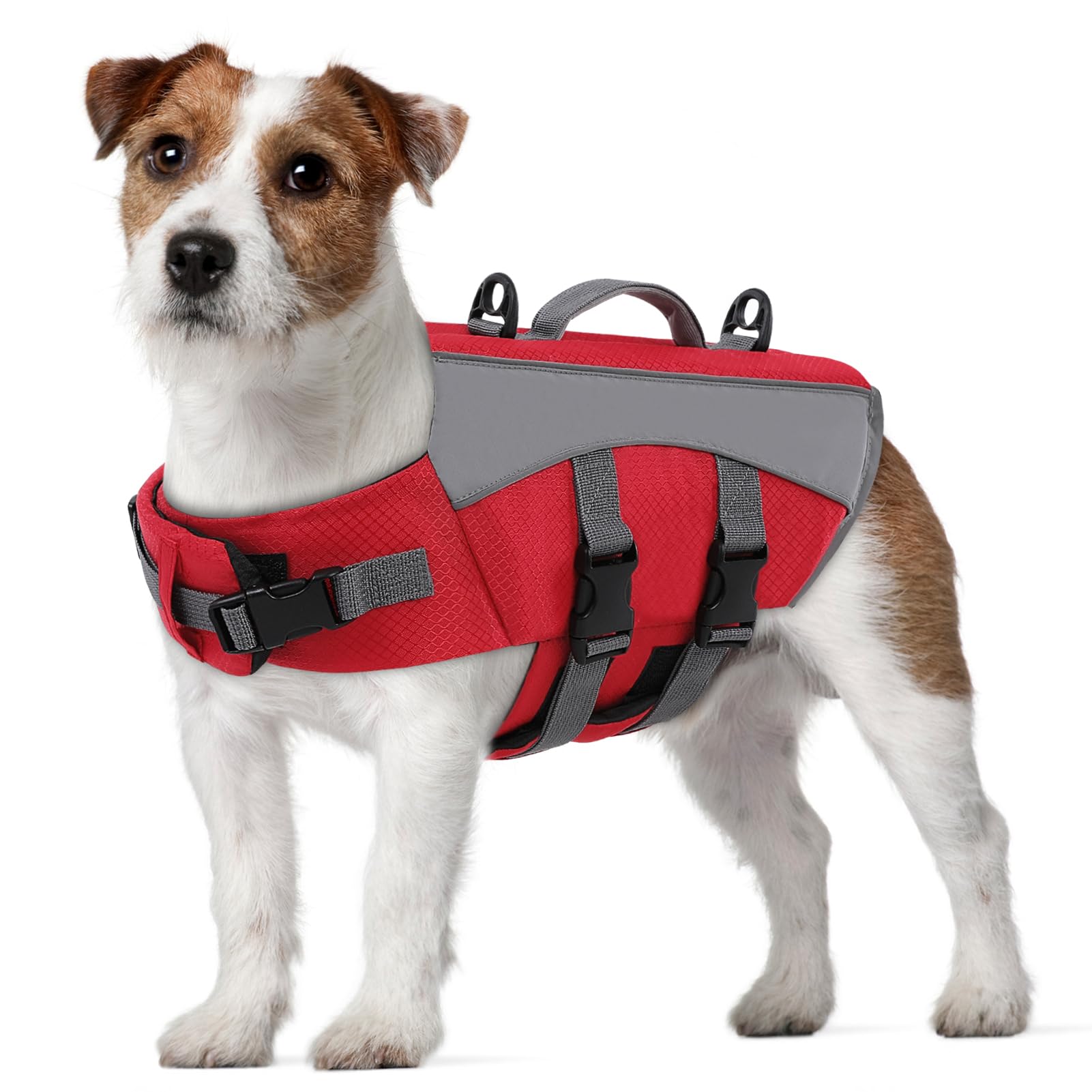 CITÉTOILE Giubbotto Salvagente per Cani - Giacca Galleggiante Riflettente con Maniglia, Galleggianti e Cinture Regolabili per Sicurezza in Acqua, Piscina, Rosso, M