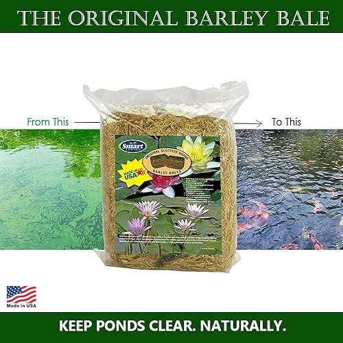 Miniatura 4 de Clear-Water Bales de paja de cebada, troncos de estanque de 8 onzas, trata 1000 galones durante 6 meses (paquete de 1)