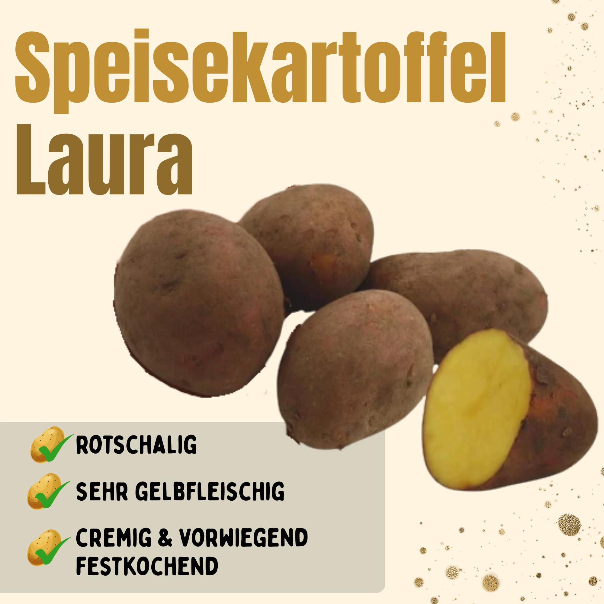 FRUCHTVERSAND24® Speisekartoffeln Laura 12,5kg | lecker und cremig im Geschmack | sehr gelbfleischig | vorw. festkochend | für Ofenkartoffeln, Pommes Frites, Salzkartoffeln, Wilde Kartoffeln