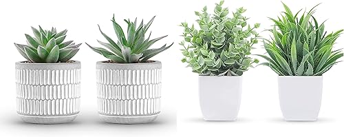 Der Rose Paquete de 2 paquetes de plantas suculentas y 2 paquetes de plantas falsas para decoración de sala de estar