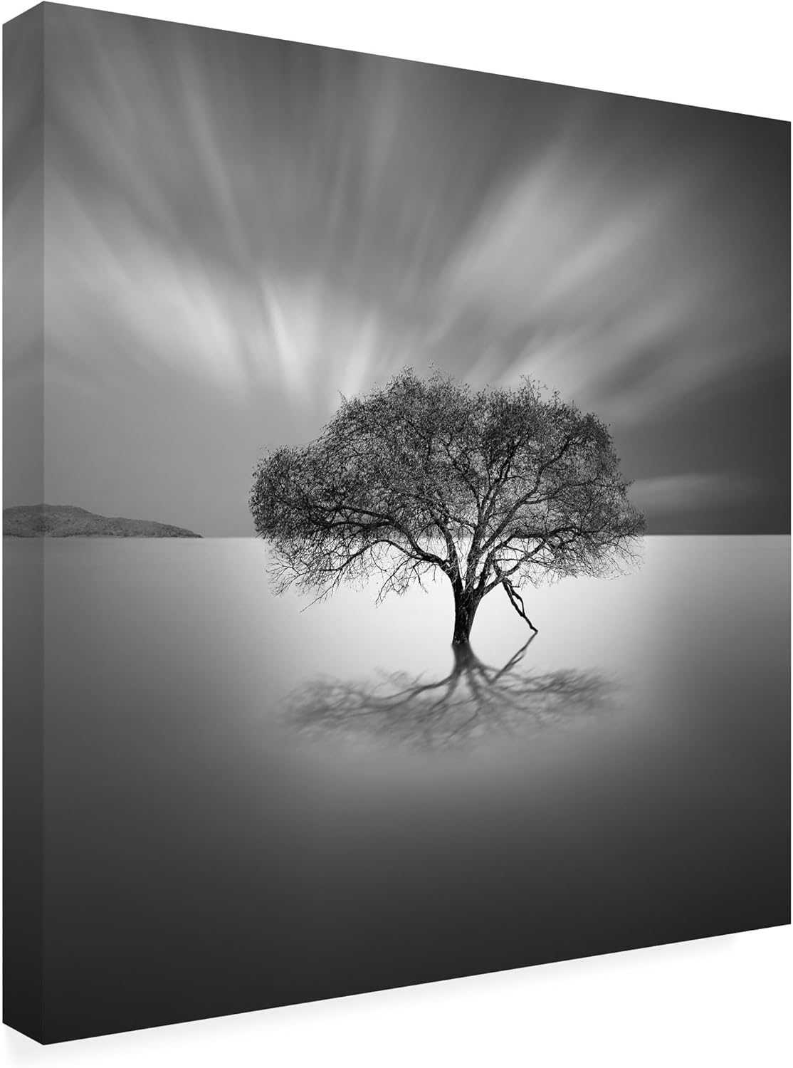 Wrapped Canvas Wall Art - Moises Levy 'Water Tree VIII' Wall Art for Living Room, Bedroom, or Office Décor - 14x14