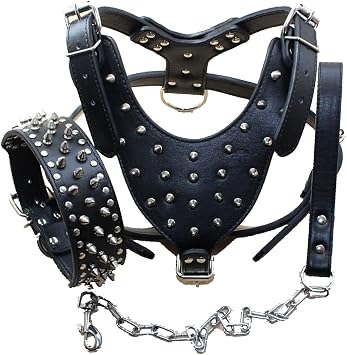Breed Leather Spiked Studded Dog Harness,Collar & Leashes 3Pcs Set for Medium & Large Dog Pit Bull,Mastiff, Boxer, Bull Terrier Studs Black, M