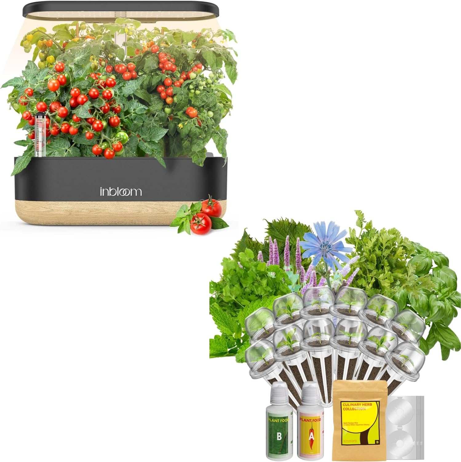 inbloom Hydroponics Growing System 12 Pods Black and Herb Seed Pods Kit 12 Pods, 350+Seeds Included Basil, Parsley, Mint, Cilantro, Shiso, Liquorice, Chicory