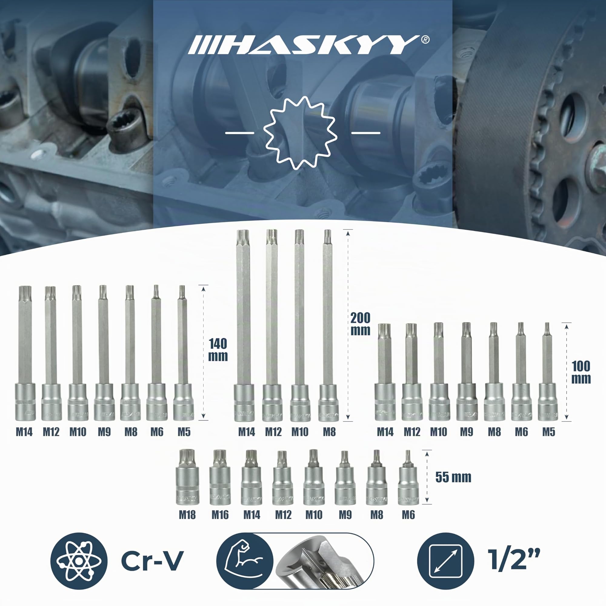 HASKYY Lot de 12 douilles XZN Haskyy à denture multiple M4 M5 M6 M8 M9 M10 M11 M12 M13 M14 M16 M18