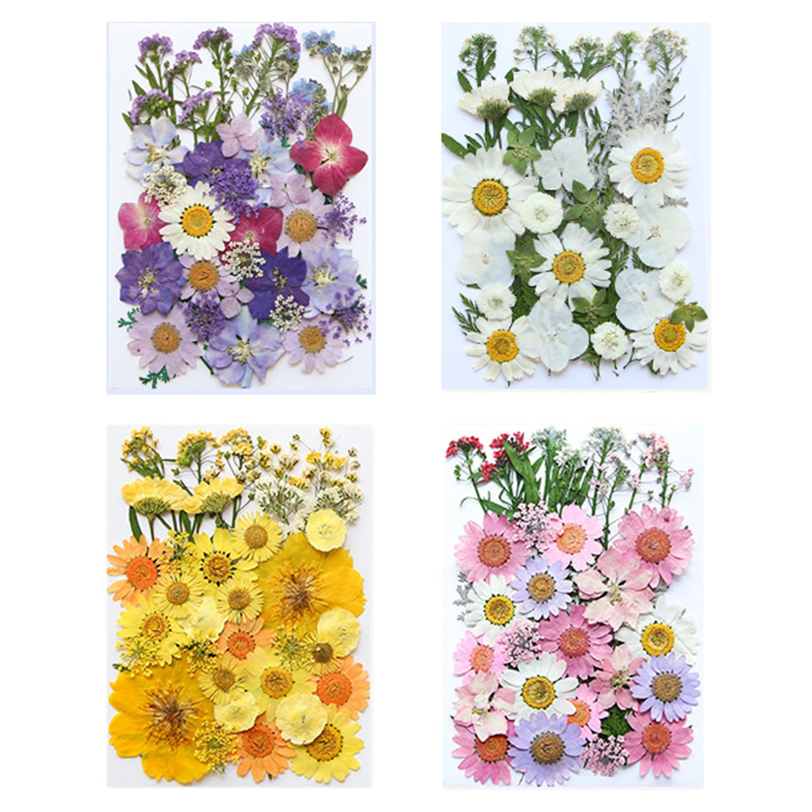 Marque-pages en forme de fleur pressée pour des ateliers créatifs en famille