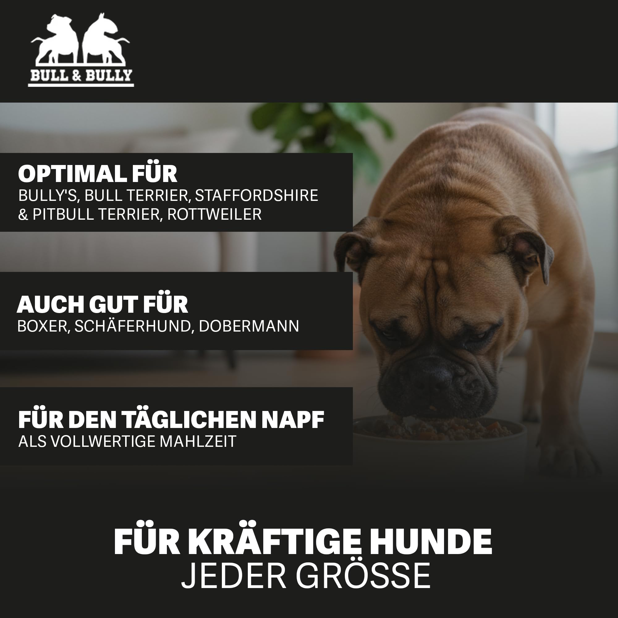 Hundefutter Nass 800g 12x Fleischmahlzeit Pferd mit Kartoffel | Tierärzten entwickeltes Hunde Nassfutter Premium Wet Dog Food mit 94% Fleischanteil für aktive Hunde von BULL & BULLY
