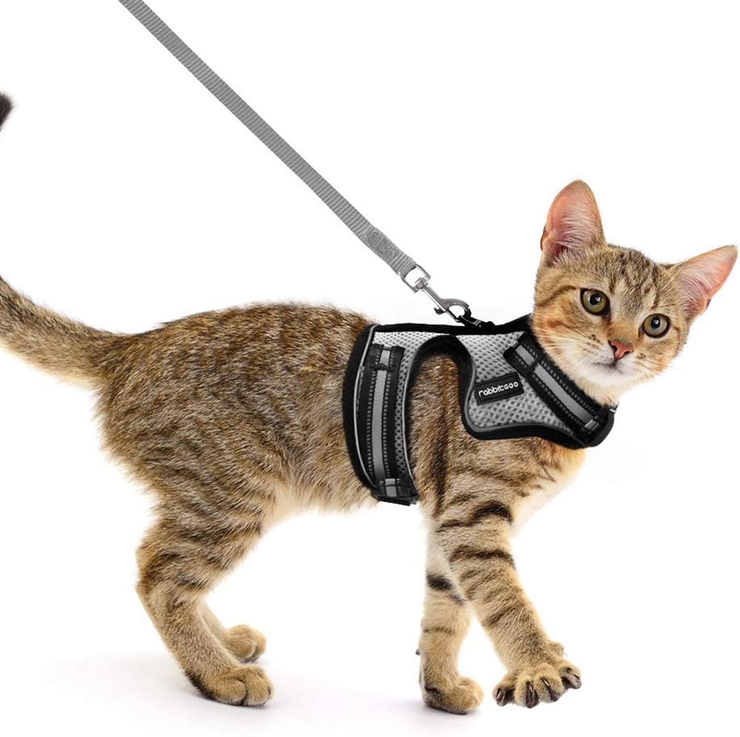 rabbitgoo Cat Harness and Leash for Walking, Escape-Proof No Choke Reflective Vest Harnesses for Small Cats, Kitten Harness with Magic…