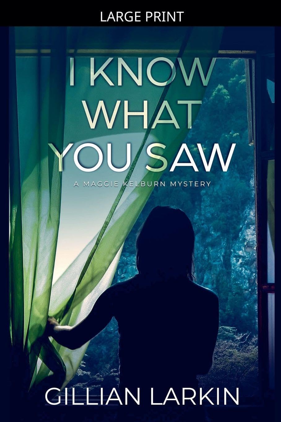 I Know What You Saw: 1 (A Maggie Kelburn Mystery)