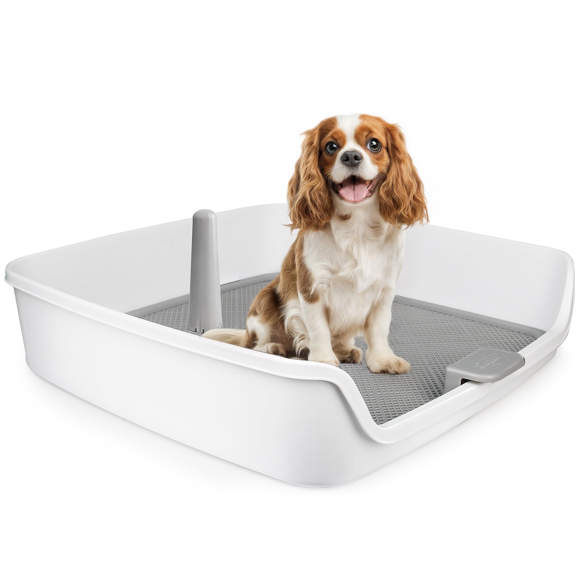 ALL FOR PAWS Indoor Dog Potty Tray with Removable Post & Protection Wall, 63 x 63 cm, Large Mesh Grid Dog Pee Pad Holder, Potty Training, Perfect for Small & Medium & Large Dogs Puppy