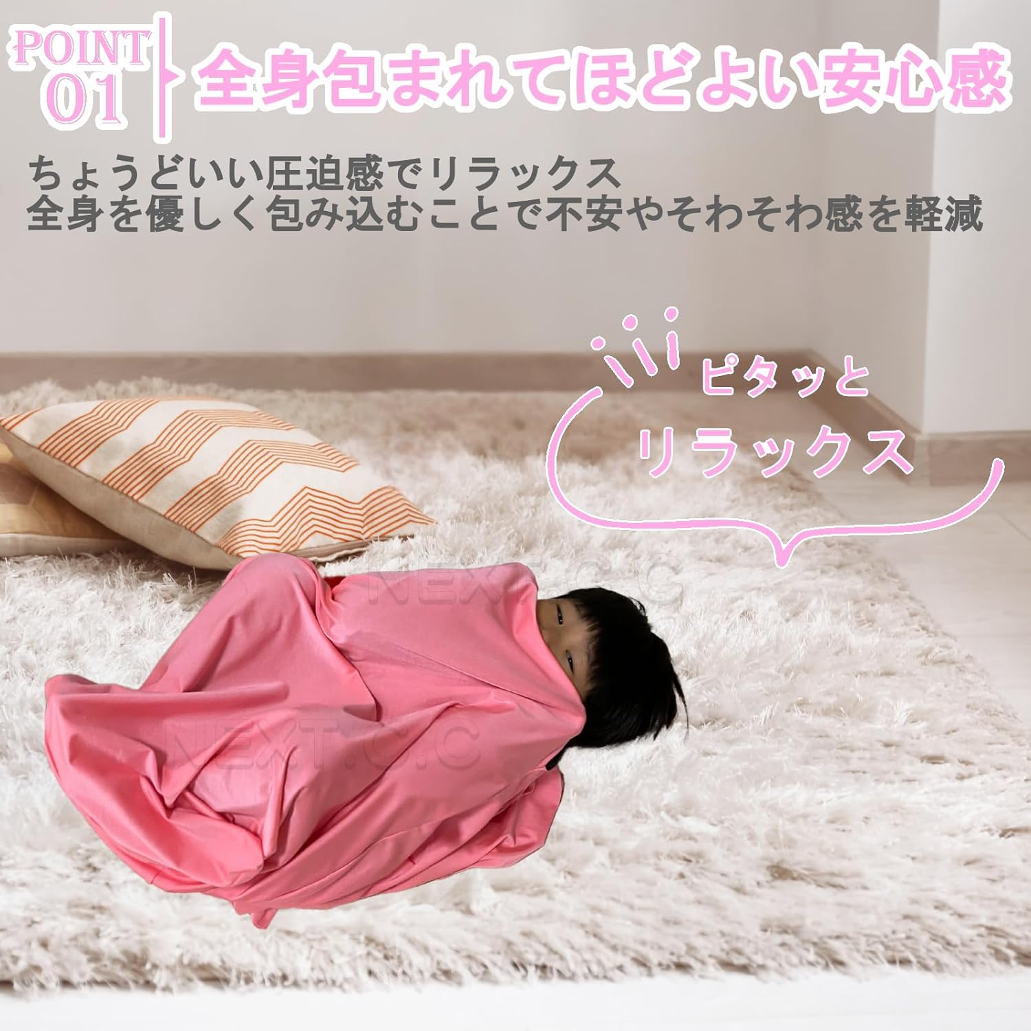 【希少品】スペシャリスト育成プログラム①②セット【鍼灸】 セイリン鍼灸針 J-Sakura（旧 JSP) : メディスター健康ストア