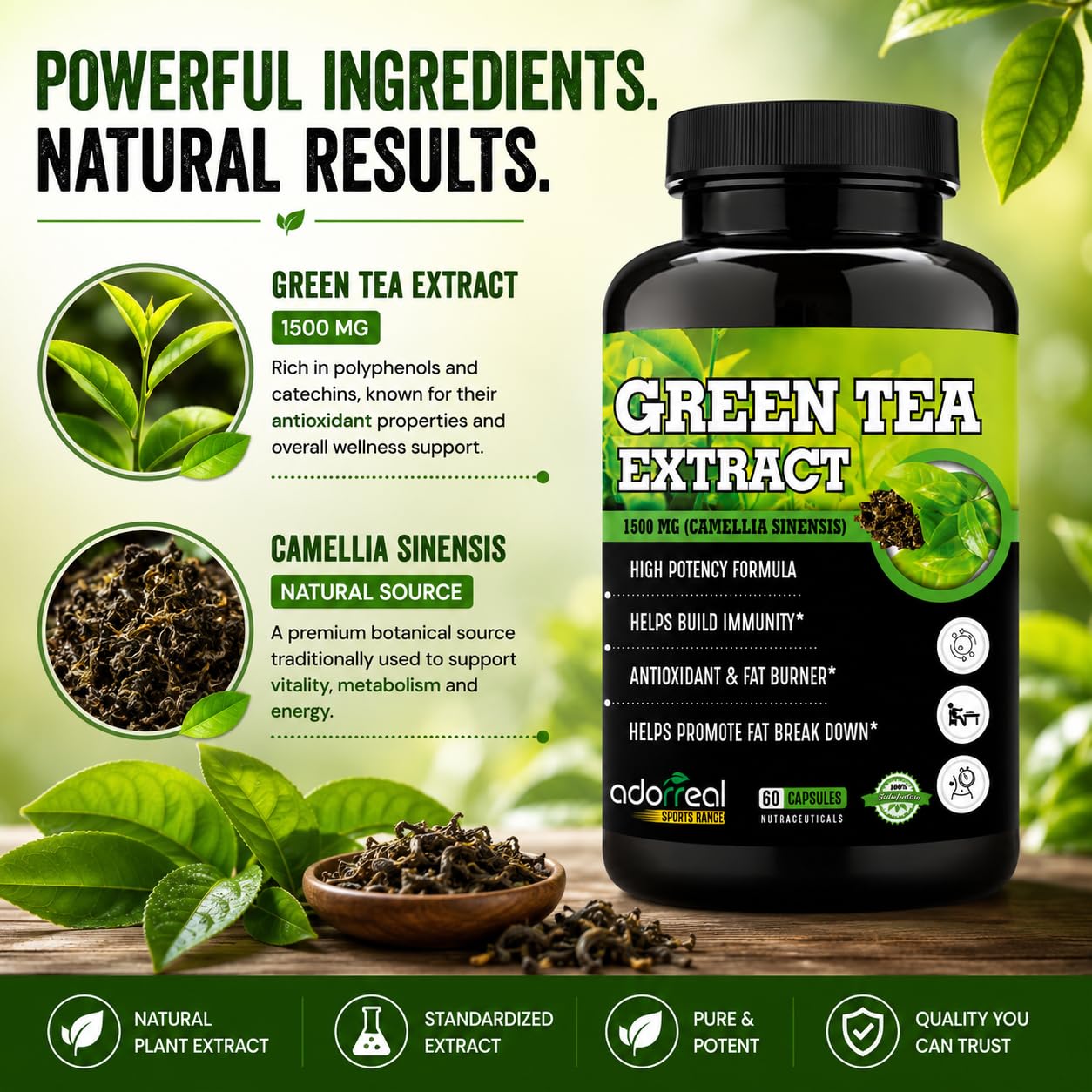 Adorreal Green Tea Extract 60 capsules for Weight Loss (Fat Burner) & Antioxidant Metabolism Booster Supplement Capsule Support Healthy Weight Management & Support Regulation of Hunger 1