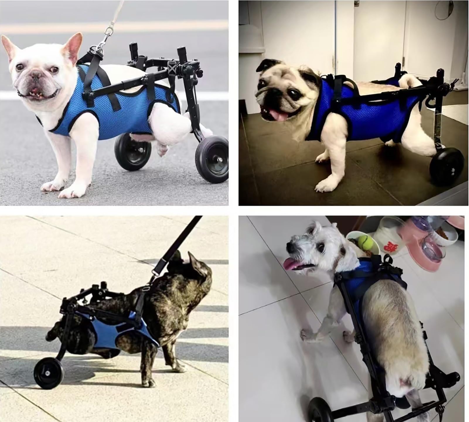 Amazon.co.jp: 後脚用調節可能な犬用車椅子 – コーギー&猫用2輪可動