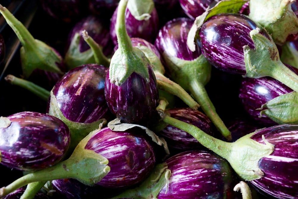 Eggplant Udumalpet 10 Seeds - Organic,Early, Tender,Firm and Sweet veriety. Non GMO