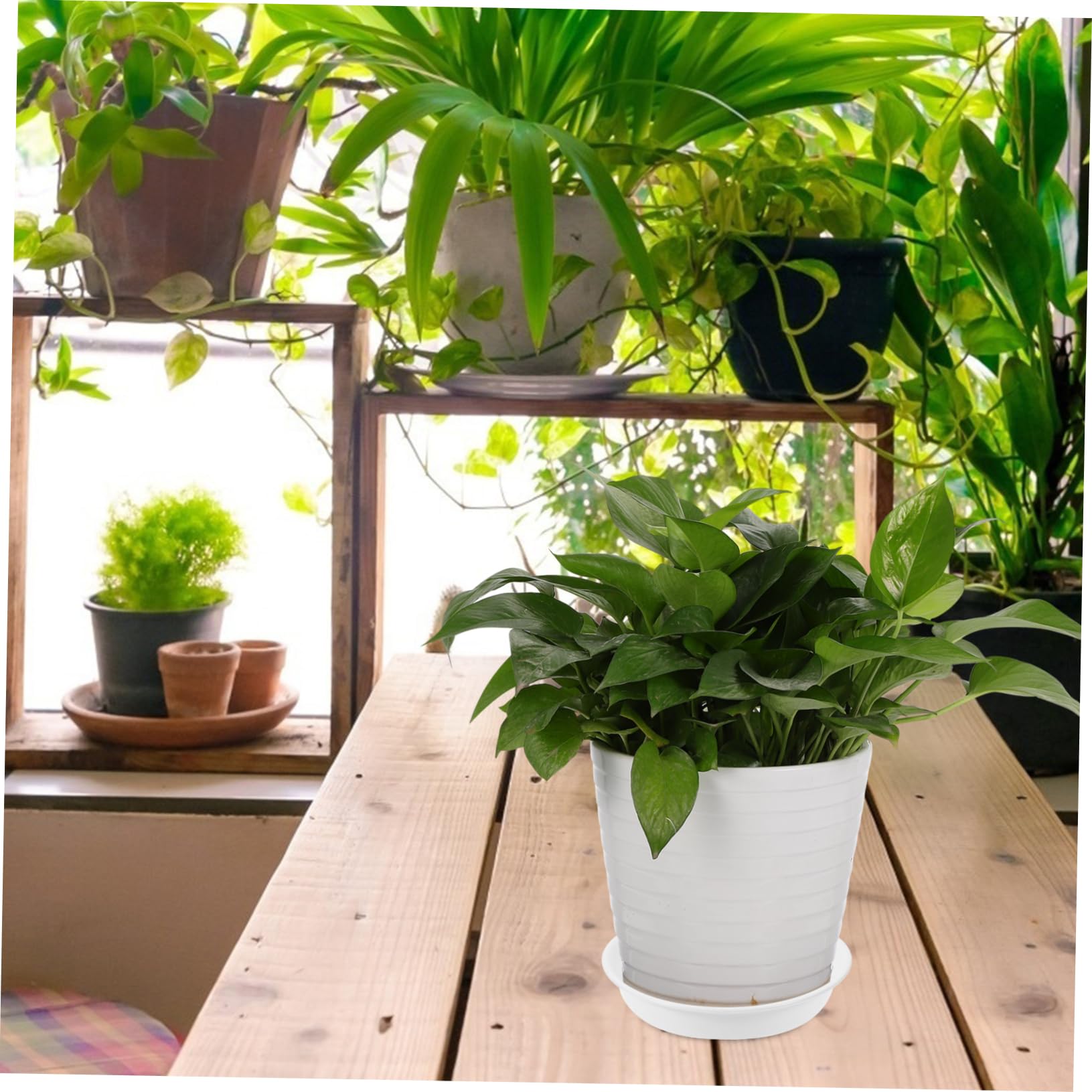 Plateau De Pot De Fleur Avec Roulettes - Support Plante Rond Plastique Robuste Pour Intérieur Et Extérieur