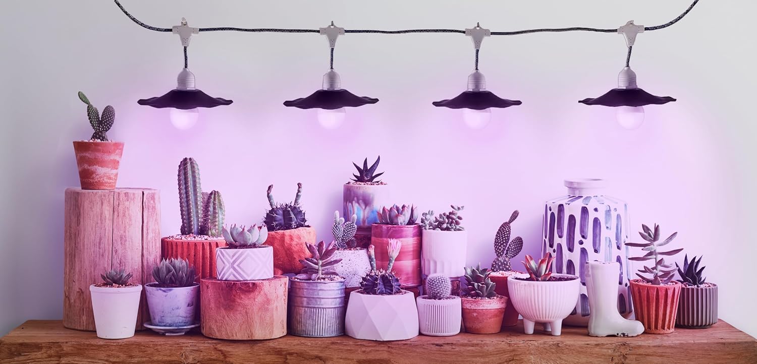 Miracle LED Greenhouse in a Box Designer Line Indoor Grow Kit - 4 Absolute Daylight Red & BlueSpectrum 100W Replacement Grow Bulbs, 1 4-Socket Plug-in Fixture with Black Shade & Timer