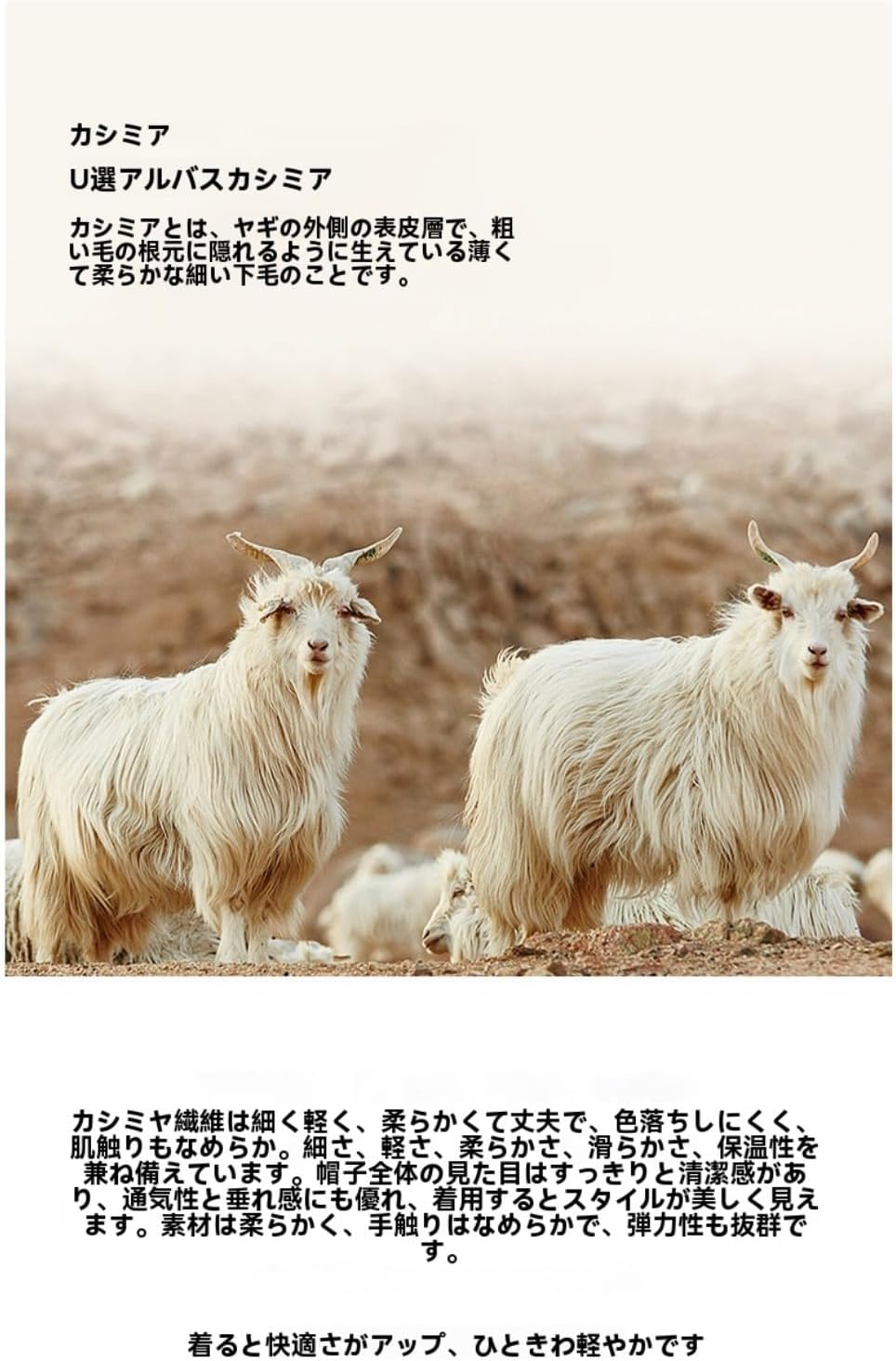 Diexgiy] アルバス山羊カシミア立体ニット耳あてキャップ ファー