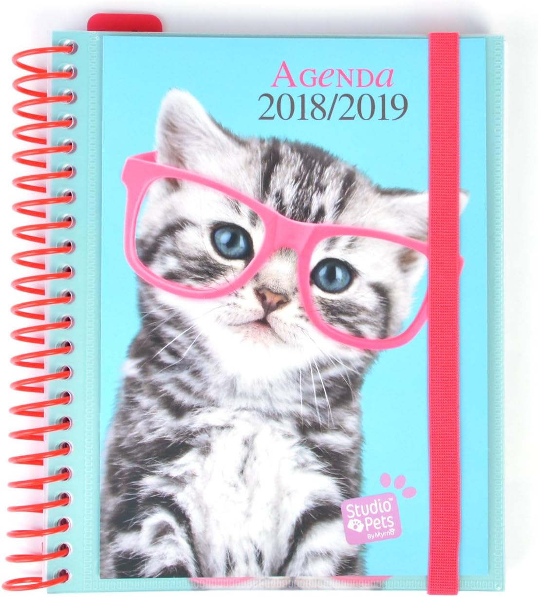 Grupo Erik editores Studio Pets – School Agenda with Spiral with Cat Design, 15.5 x 19 cm
