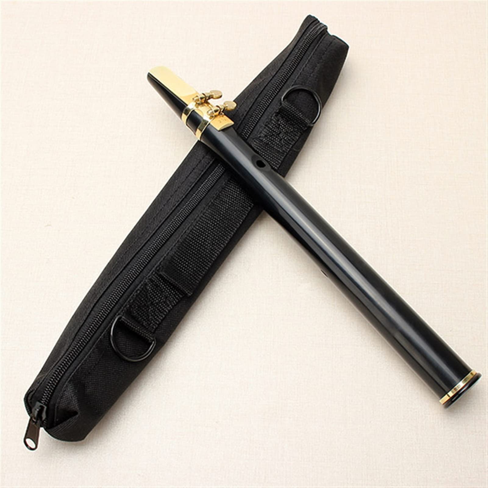 Pocket Sax Alto C Tune Mini Sax Saxofon Saxofon Sax Sax Ophone Negro con Bolsa de Transporte Instrumento de Viento Saxofón Profesional