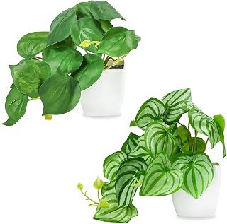 CEWOR Fake Plants 2 Packs Artificial Plants Small Plants Artificial Decor for Home Bedroom Aesthetic Living Room Bathroom Farmhouse Decor Indoor