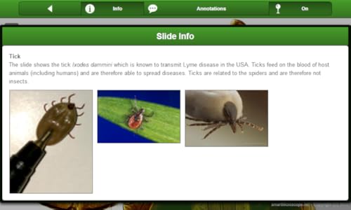 Smart Microscope Lite
