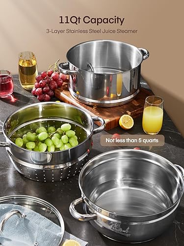 Miniatura 2 de FOHERE Exprimidor de vapor de 11 cuartos de galón, acero inoxidable, olla vaporera para frutas y verduras con tapa de vidrio, manguera, abrazadera