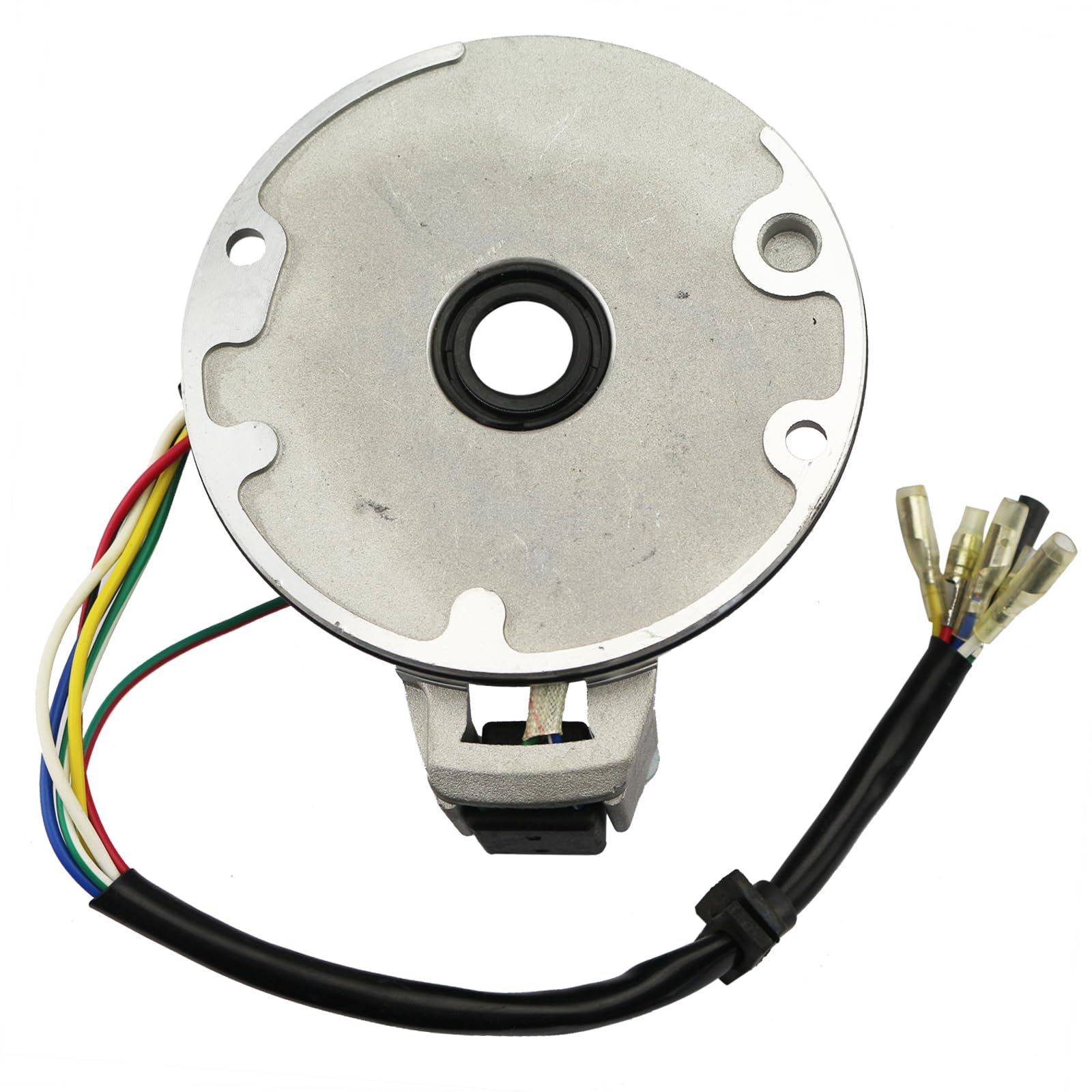 Amazon.com: PRO BAT Lifan Magneto Flywheel Stator Plate for