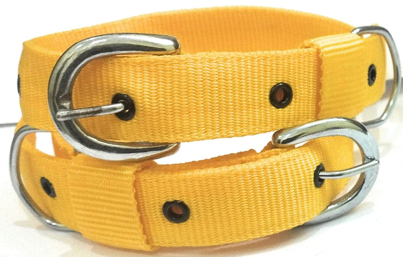 JAPIN Neck Collar Belts for Dog Comfortable Everyday 1.25 inch Collar Belt for Dog 2 Piece (Yellow) (B0BYST2LVZ) Amazon Price History, Amazon Price Tracker