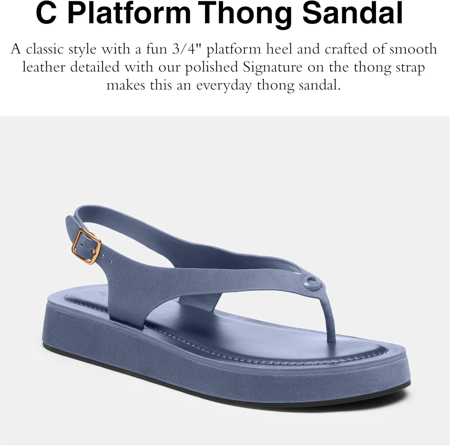 COACH Men's Sculpted C Platform Thong Sandal