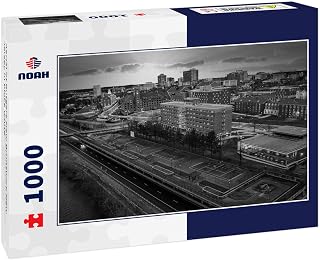 Noah Jigsaw Puzzle Aerial of Rutgers New Brunswick New Jersey in Black White 1000 Pieces