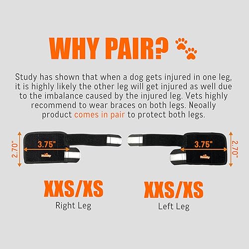 Vista 18 de NeoAlly - Soporte de pierna delantera 3 en 1 para perro, soporte de pierna delantera con inserciones rígidas y de resorte, funda para patas de perro