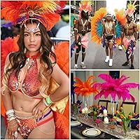 Vista 22 de 24 piezas de plumas de avestruz blanco natural de 10-12 pulgadas (25-30cm) para centros de mesa de bodas y fiestas, arreglos florales y decoración