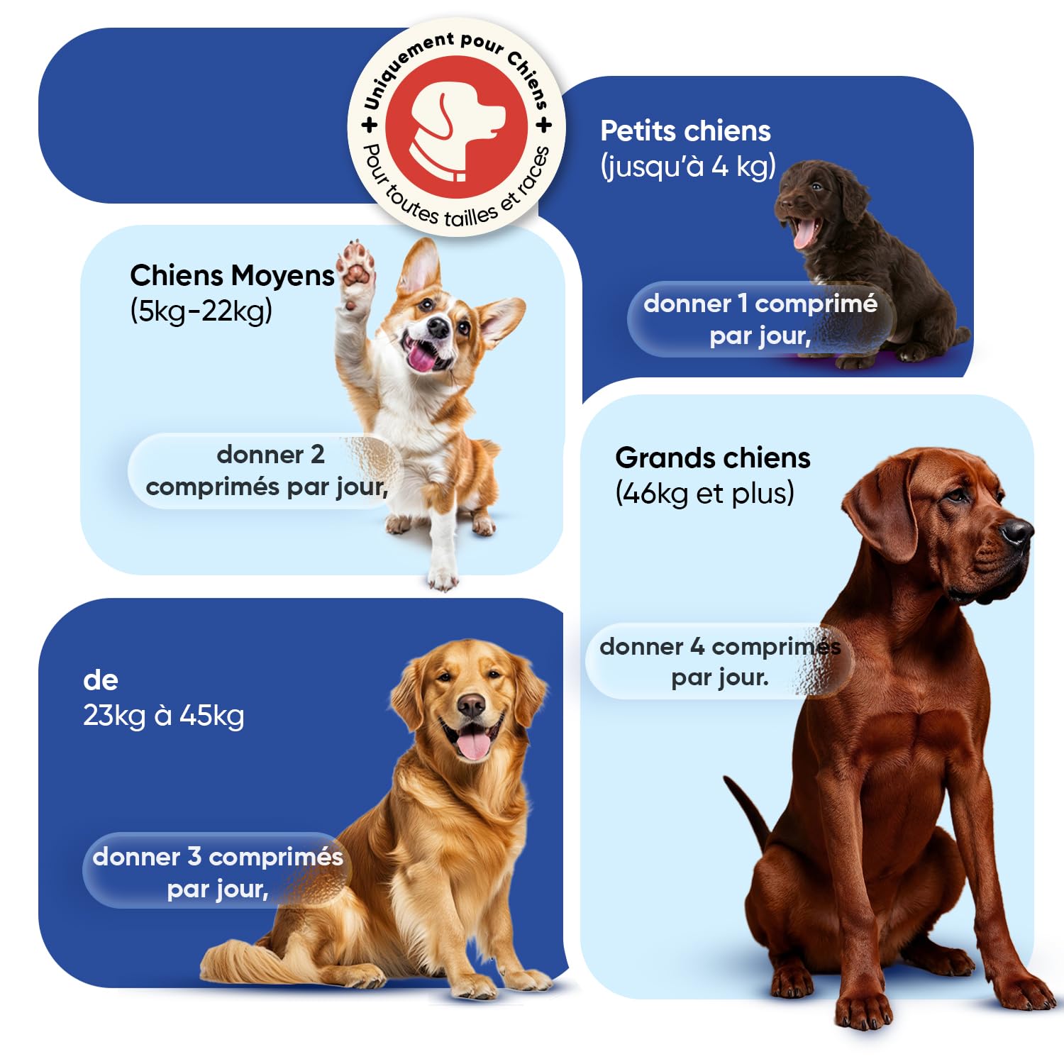 Multivitamines et Minéraux Chien 365 Comprimés - 12 Vitamine pour Chien avec 6 Minéraux, Goût Poulet - Vitamine C, D, B, A, E, Calcium, Fer, Zinc, Cuivre, Sodium, Iode - pour Toutes Tailles et Races