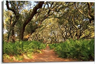 Cumberland Island National Seashore Canvas Wall Art Decor Paintings Pictures for Bedroom Wall Decor Above Bed Living Room Wall Decoration Bathroom Office Artwork