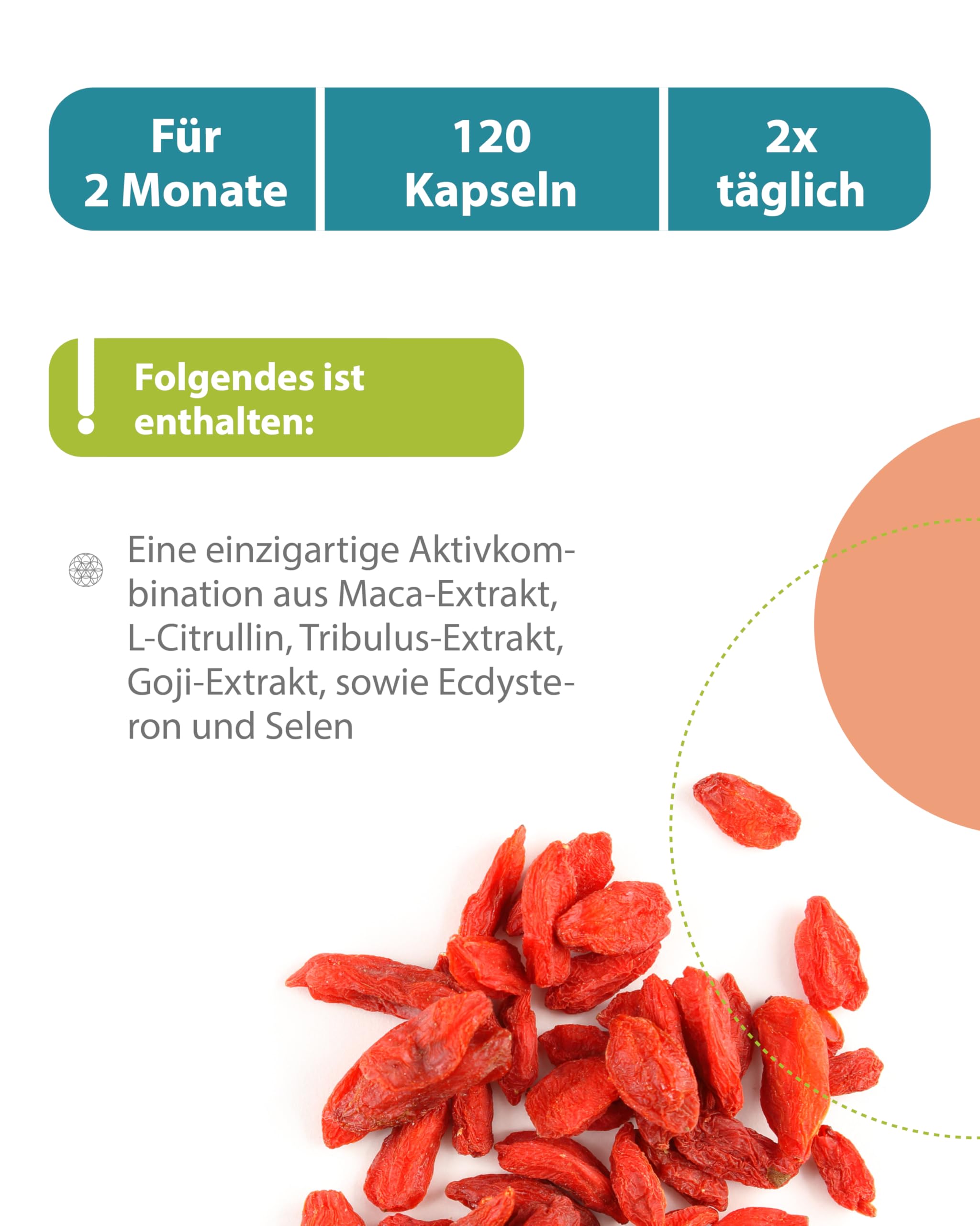 MAKIT Zink- und Maca Kapseln 120 Stk. Vegan - Nahrungsergänzung mit 5 mg Zink pro Kapsel und wertvollem Maca Extrakt 100 mg. Ohne künstliche Zusatzstoffe