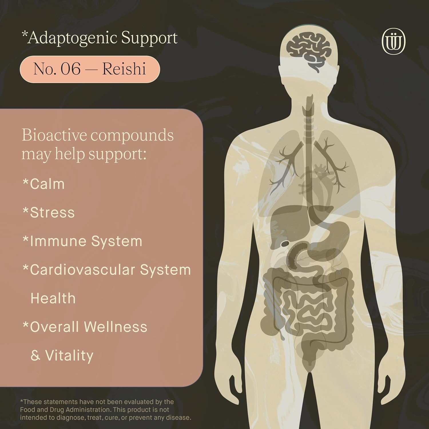 Reishi Mushroom Extract - Double Extracted Fruitbody Mushroom Tincture | Wellness Booster, Improve Sleep, Balance Hormones (60 Servings) - Image 2