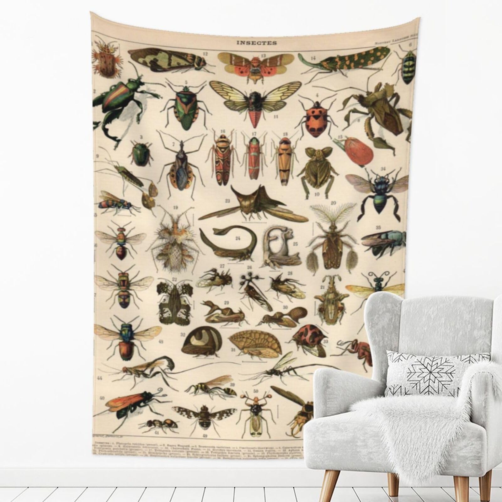 Amazon.co.jp: おしゃれな壁掛け 昆虫柄 イラスト 虫柄 トビムシ