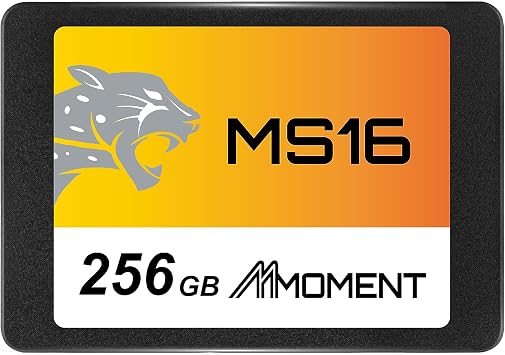 Made in Taiwan MMOMENT MS16 256GB 2.5 inch SSD SATA3 6Gb/s Read up to 550MB/s