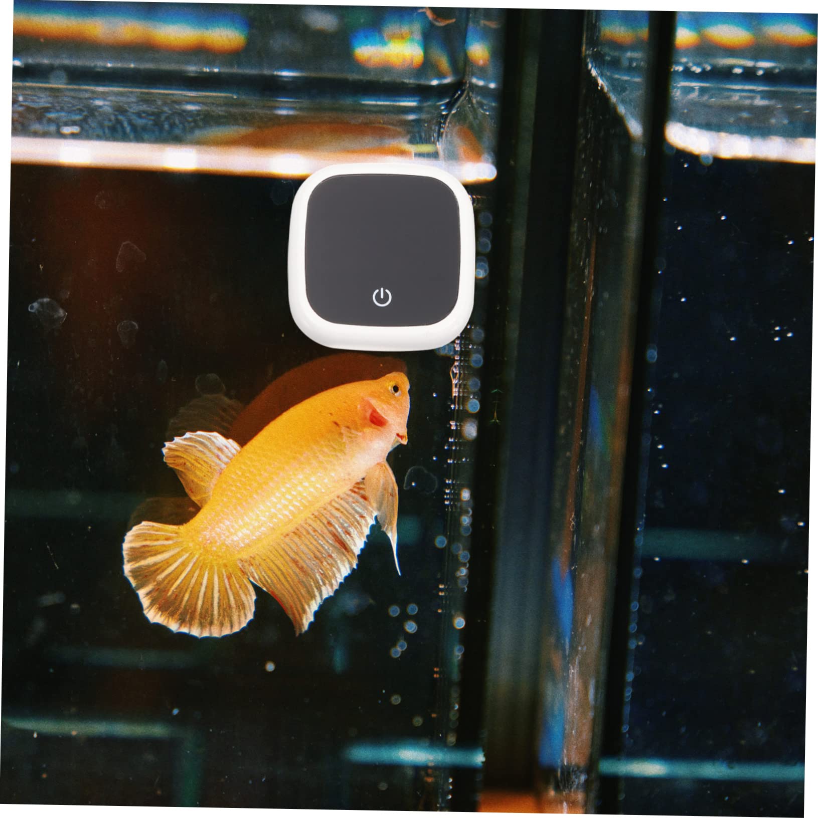 Toddmomy 5stücke Aquarium Thermometer Externer Wasserthermometer Für Aquarien Einfach Anzubringen Hochauflösendes -display Sorgt Für Wassertemperatur Für Fische Und Pflanzen