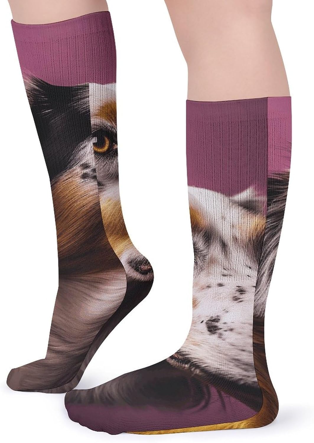 5 Pairs Knee High Socks Sheepdog Dog Long Tube Boot Seamless Toe